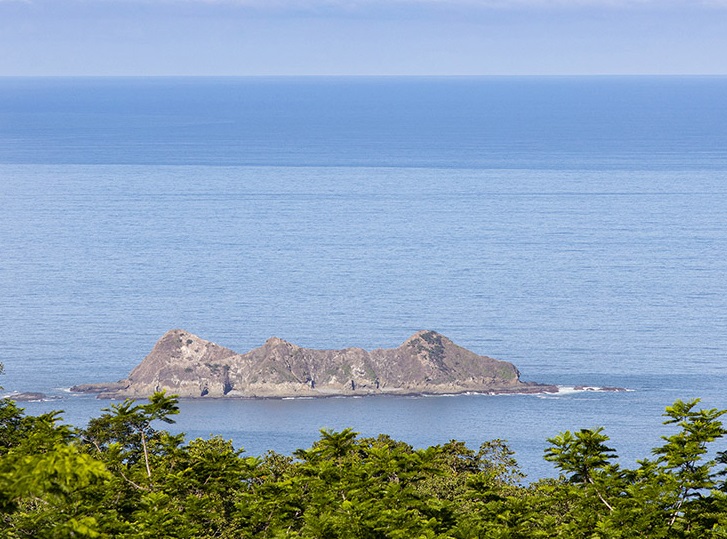 0 bed Communities For Sale in Uvita, Puntarenas - thumb 3