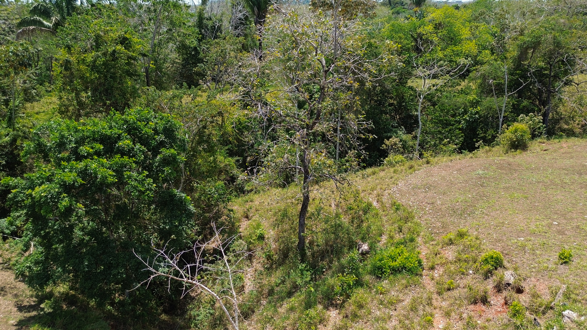 0 bed Land For Sale in Montezuma, Puntarenas - thumb 6