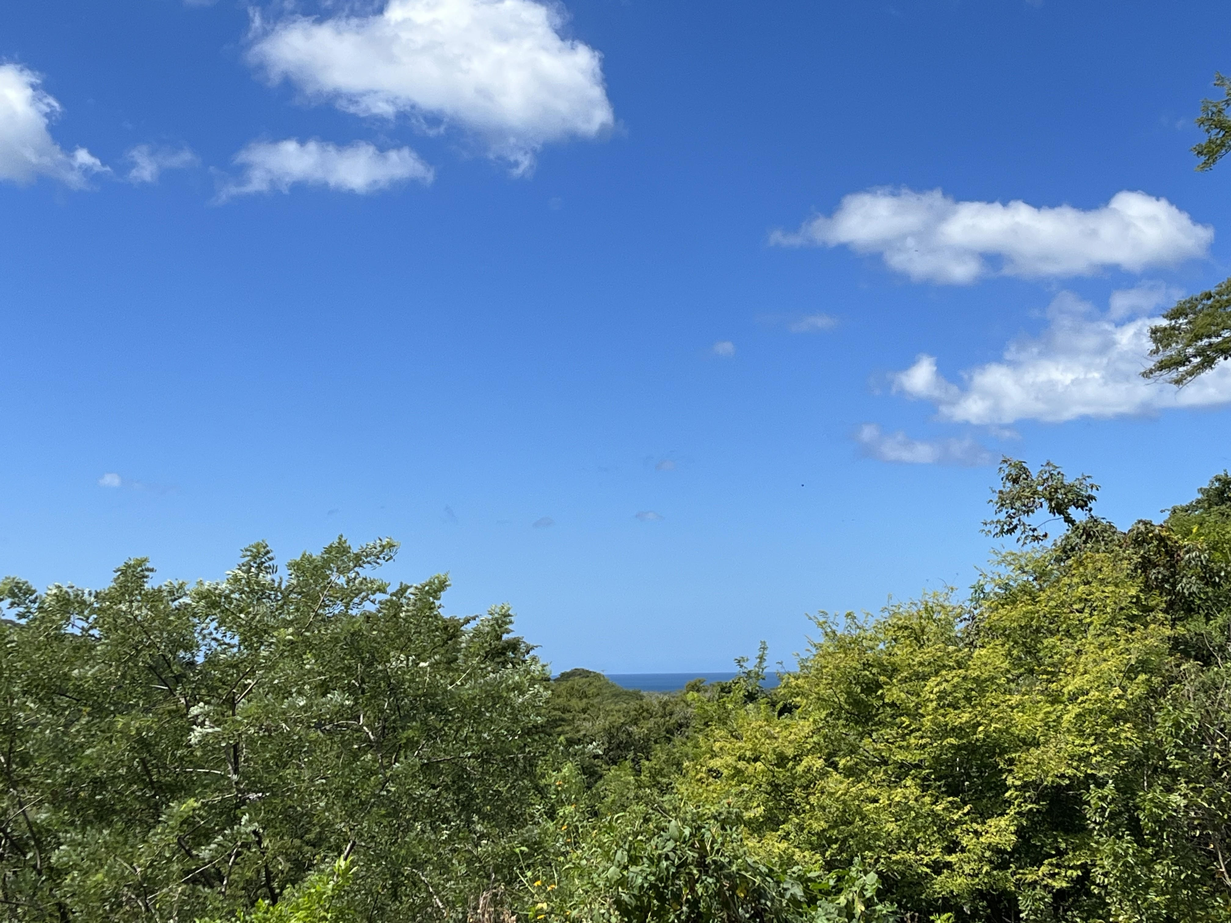 0 bed Land For Sale in Tamarindo, Guanacaste - thumb 4