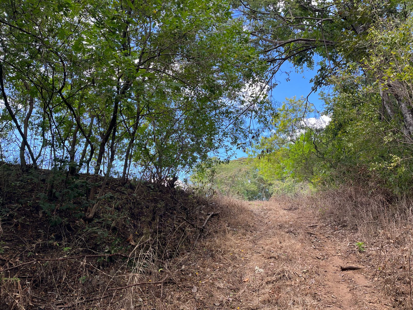 0 bed Land For Sale in Tamarindo, Guanacaste - thumb 5