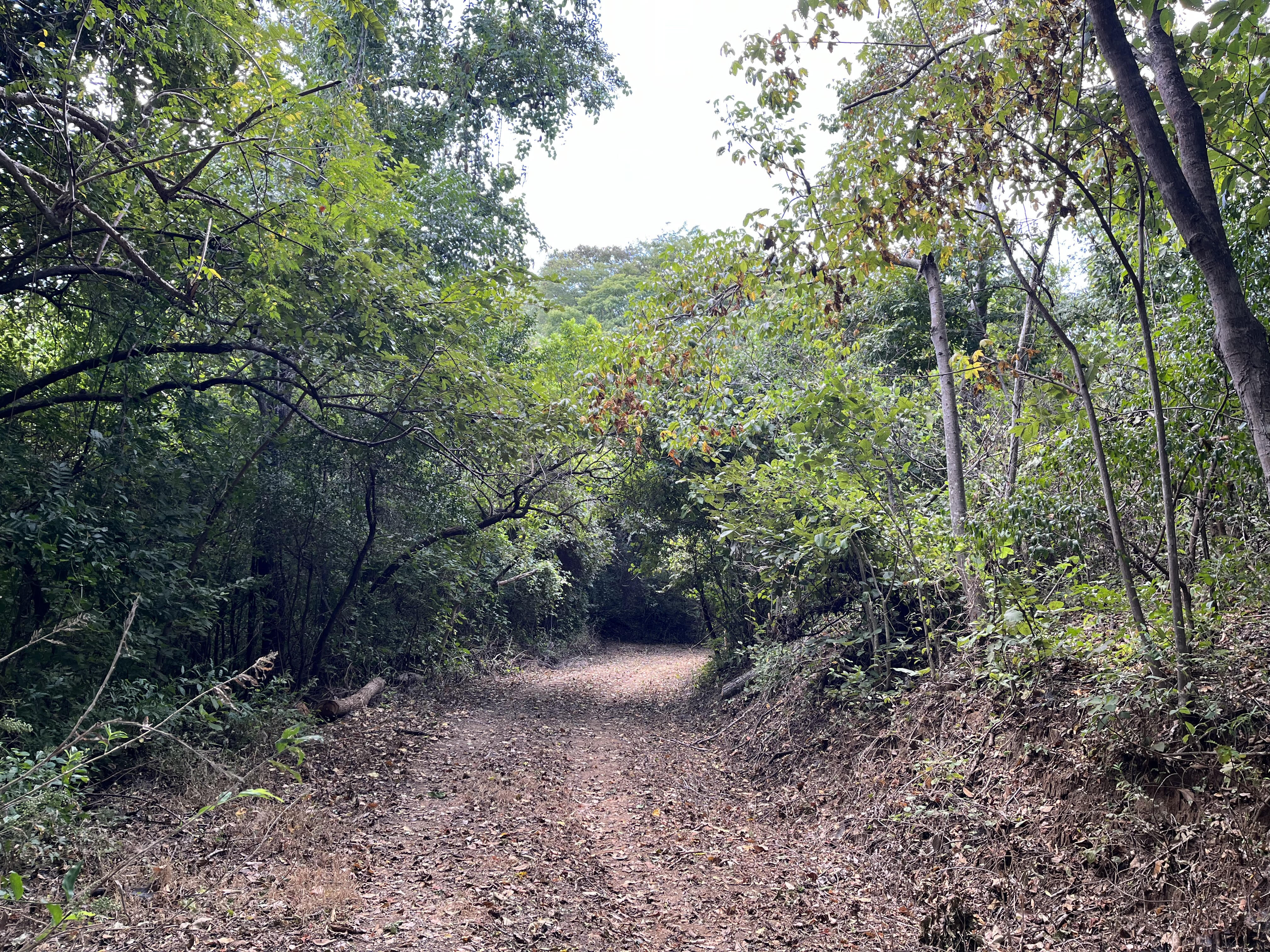 0 bed Land For Sale in Tamarindo, Guanacaste - thumb 2