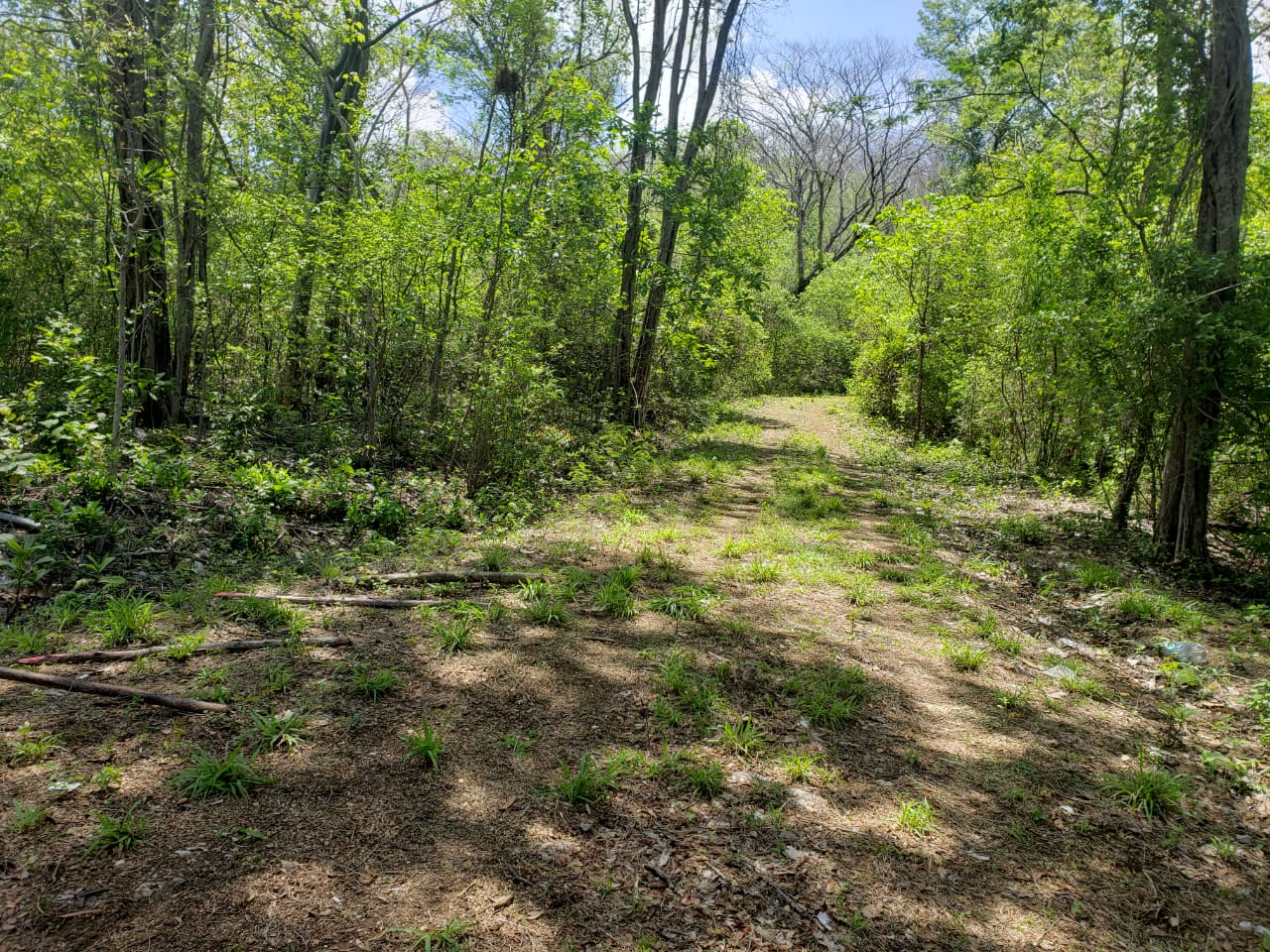 0 bed Land For Sale in Tamarindo, Guanacaste - thumb 9