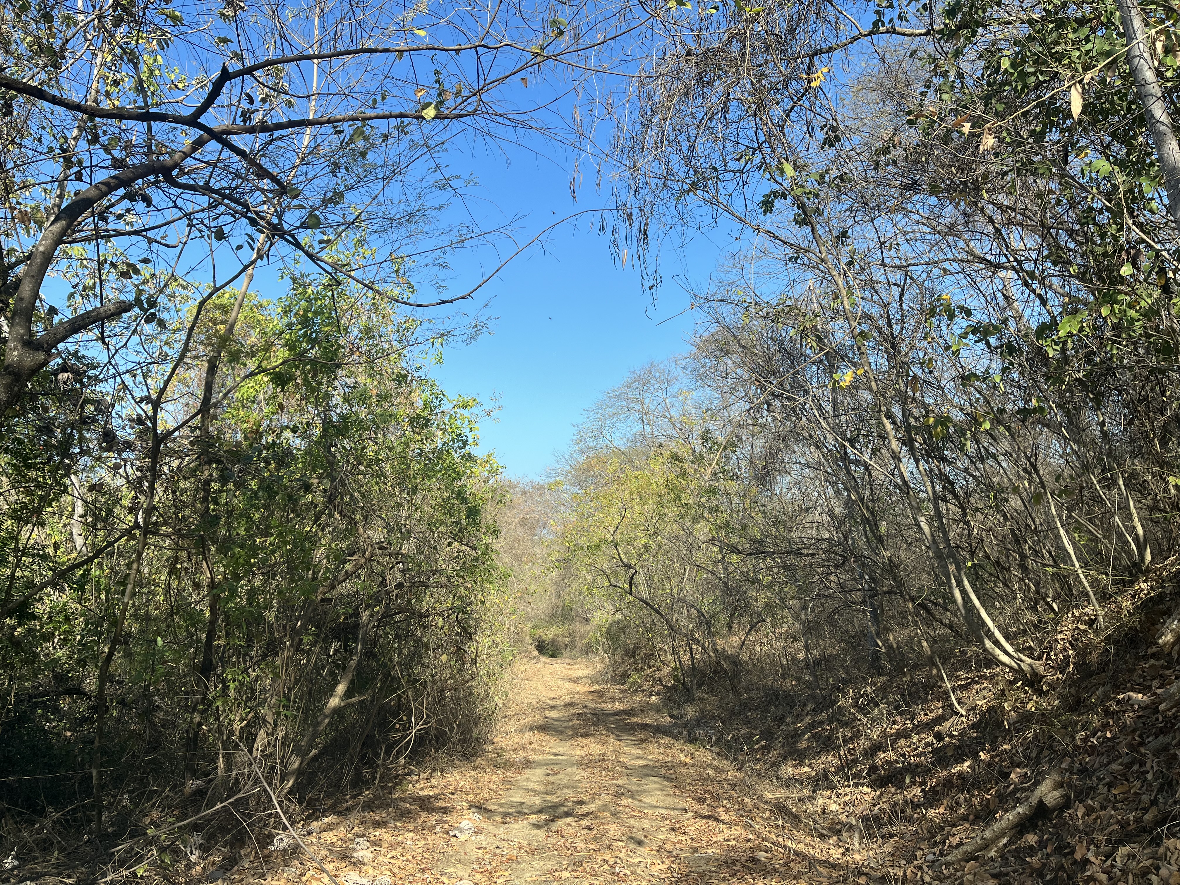 0 bed Land For Sale in Tamarindo, Guanacaste - thumb 8