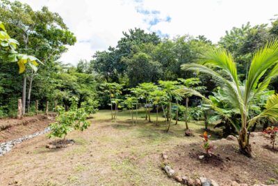 3 bed Single Family Homes For Sale in Playa Grande, Guanacaste - thumb 19