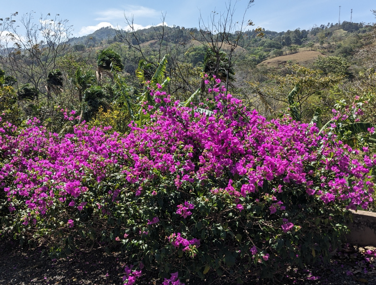 2 bed Single Family Homes For Sale in Puriscal, San Jose - thumb 20