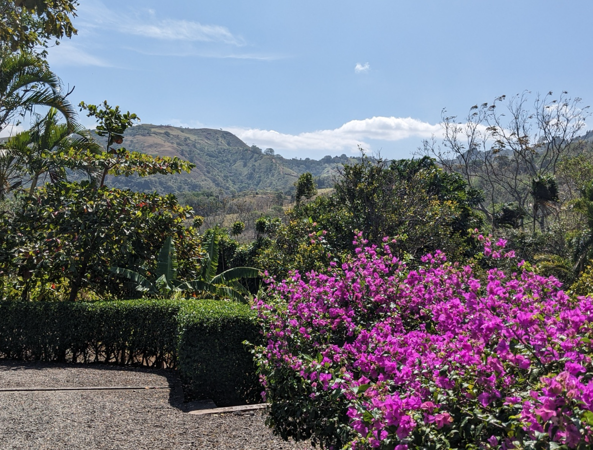 2 bed Single Family Homes For Sale in Puriscal, San Jose - thumb 5