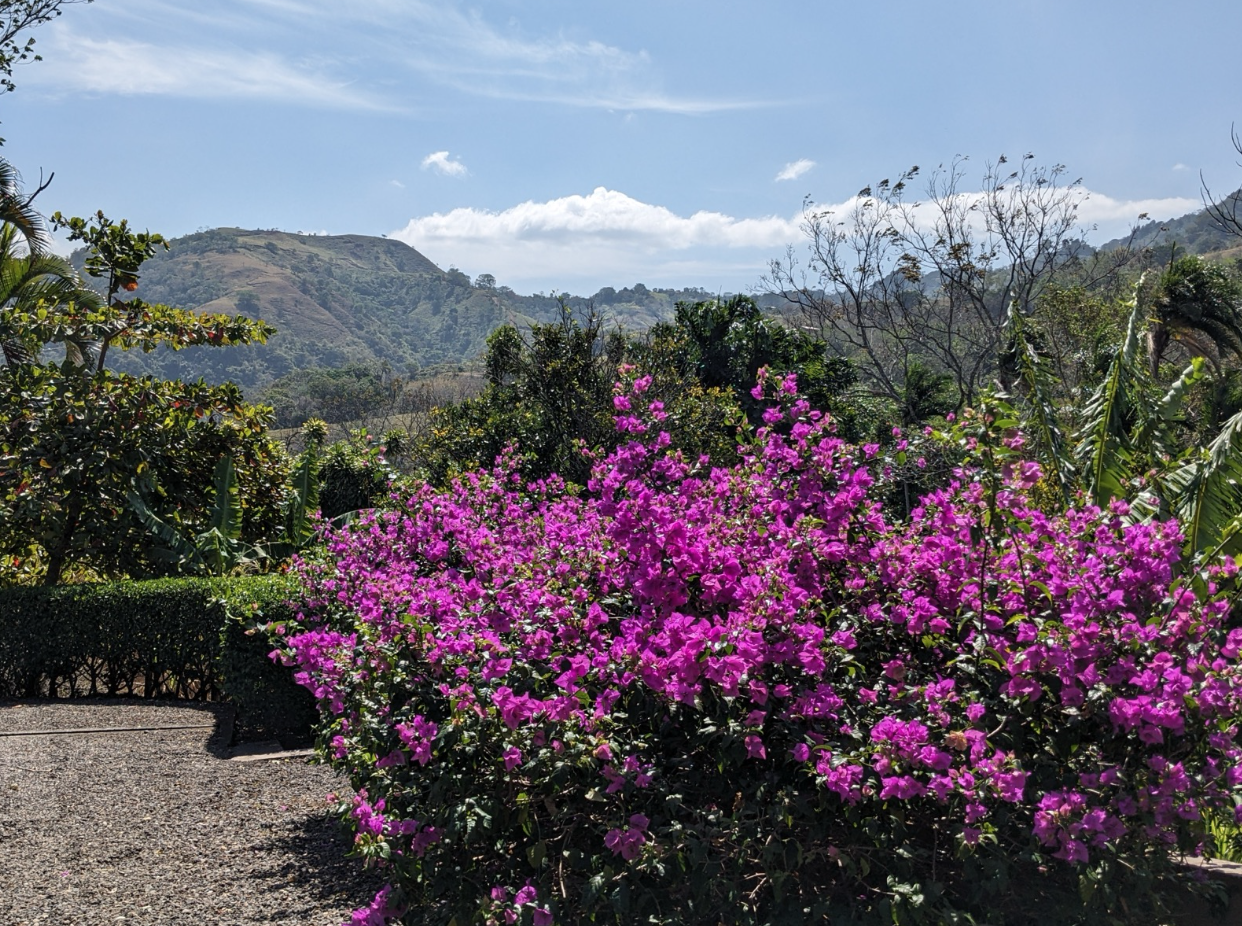 2 bed Single Family Homes For Sale in Puriscal, San Jose - thumb 6