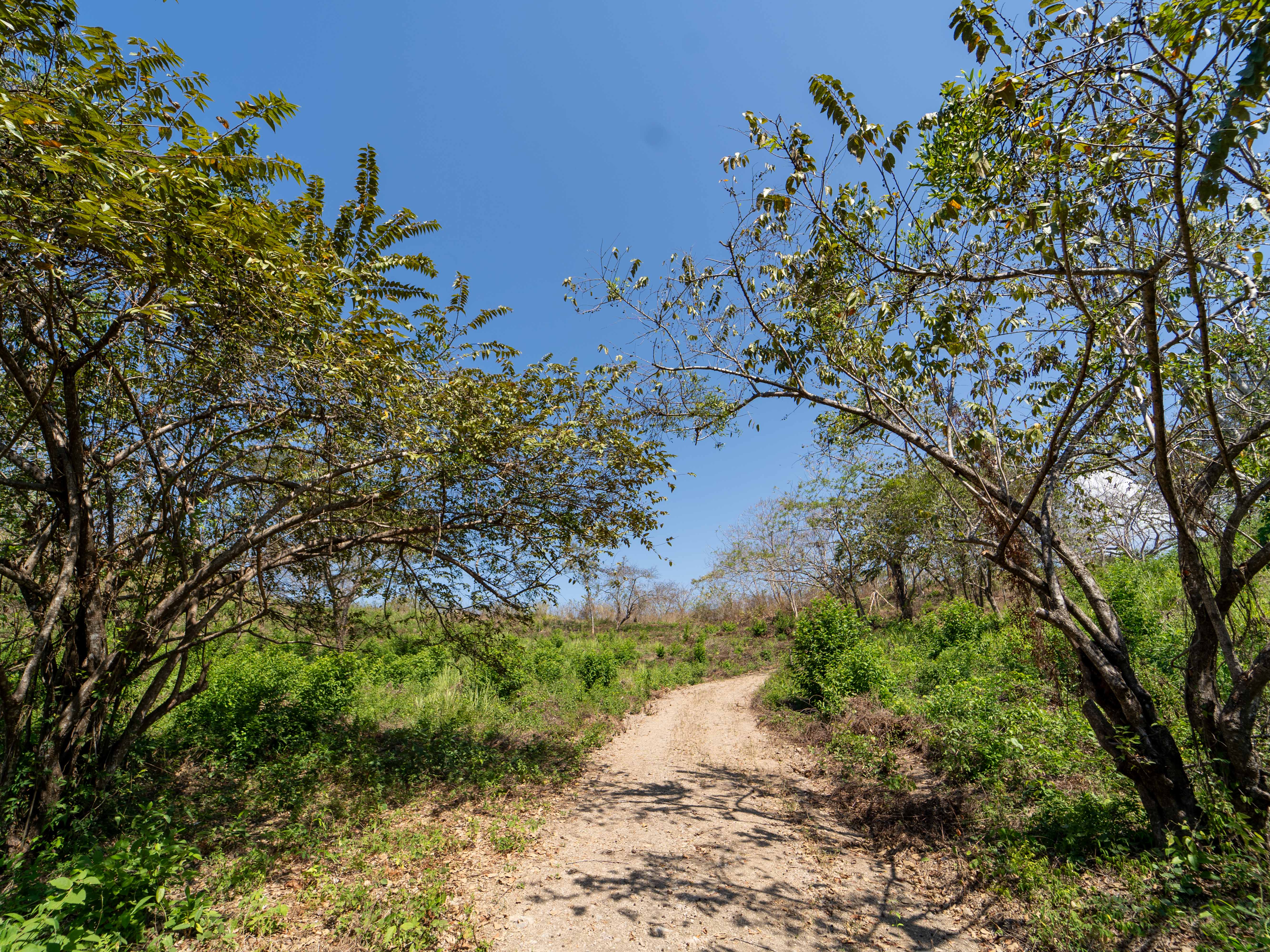 0 bed Land For Sale in Samara, Guanacaste - thumb 10