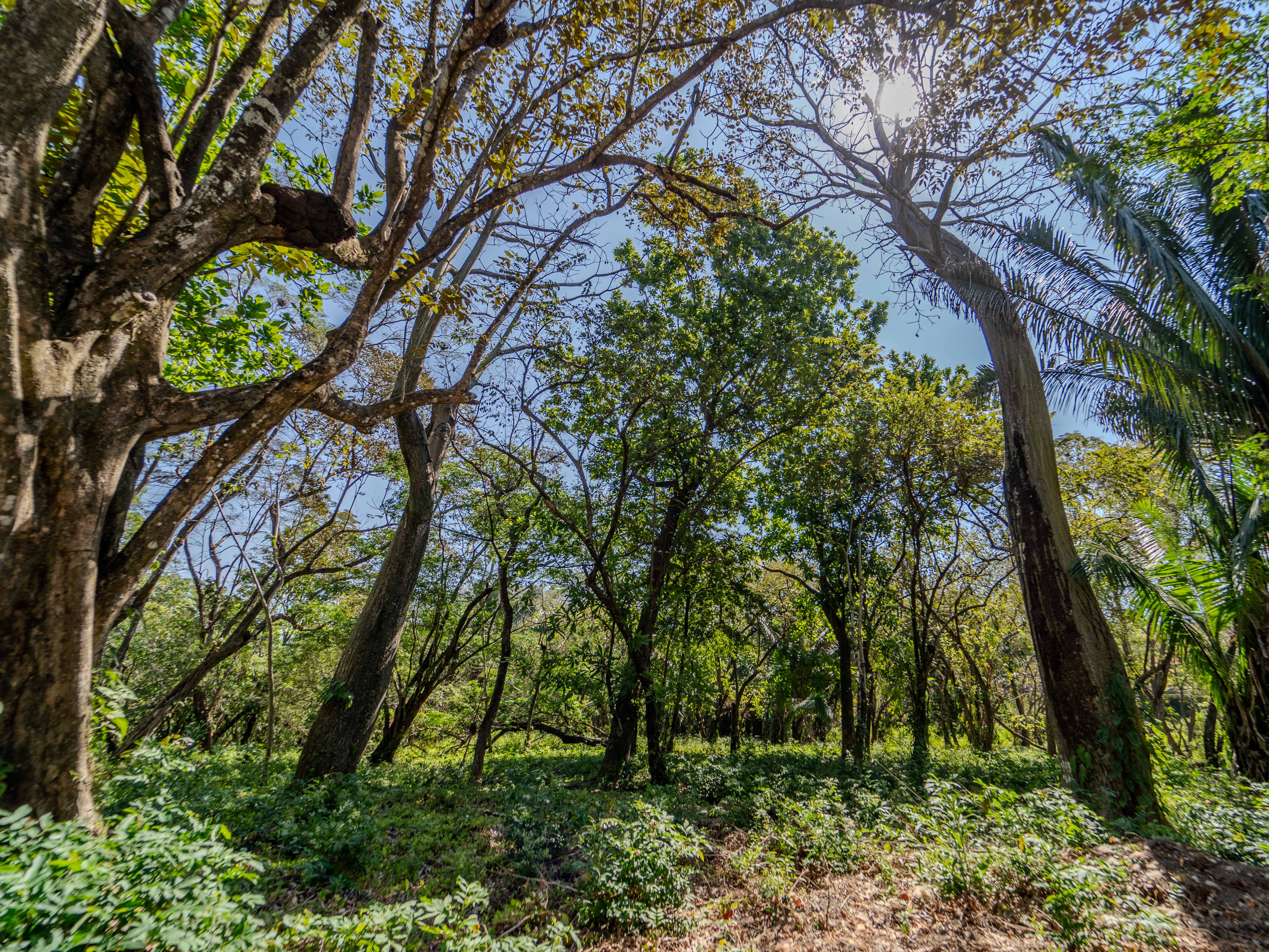 0 bed Land For Sale in Samara, Guanacaste - thumb 9