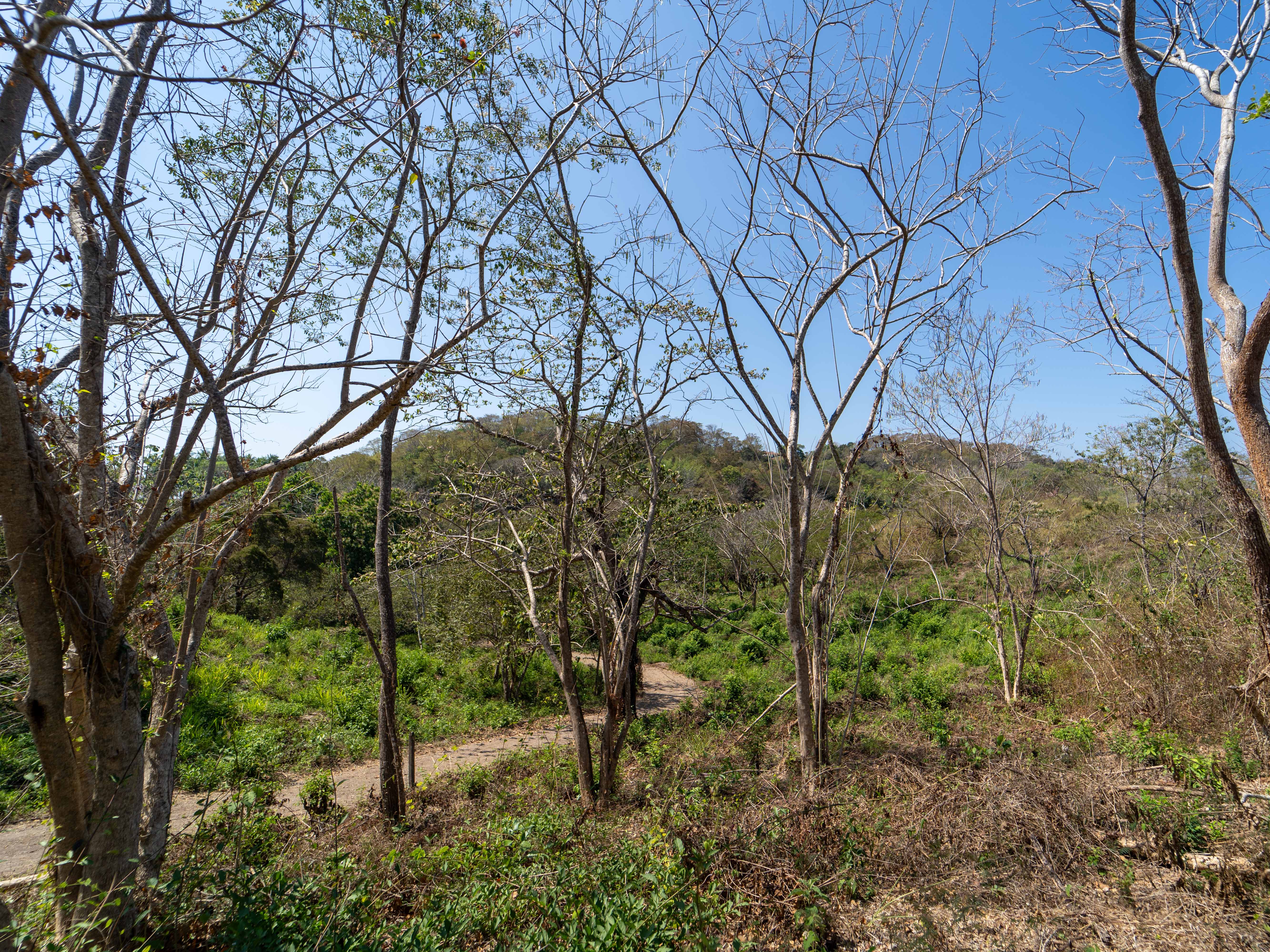 0 bed Land For Sale in Samara, Guanacaste - thumb 12