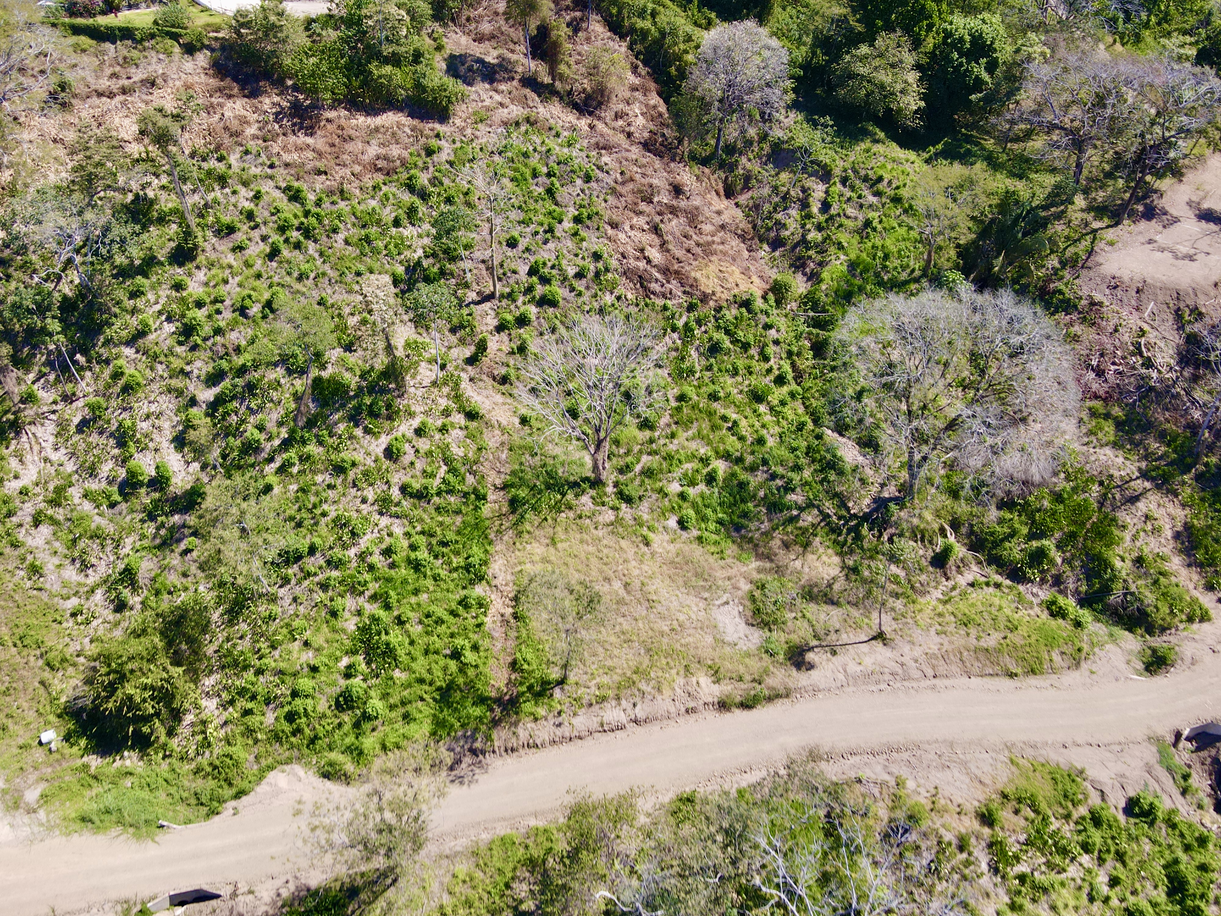 0 bed Land For Sale in Santa Teresa, Puntarenas - thumb 1