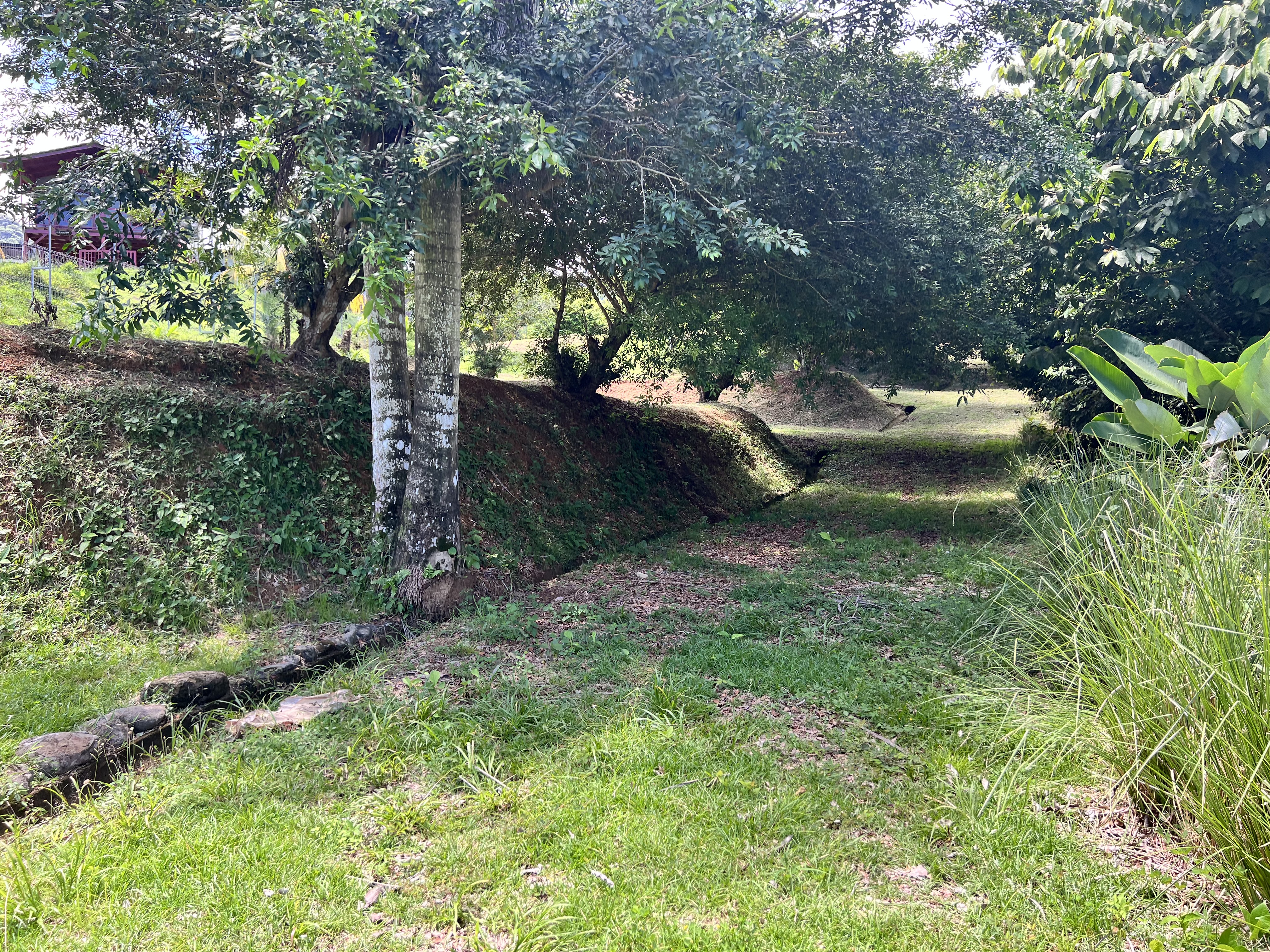 0 bed Land For Sale in Ojochal, Puntarenas - thumb 4