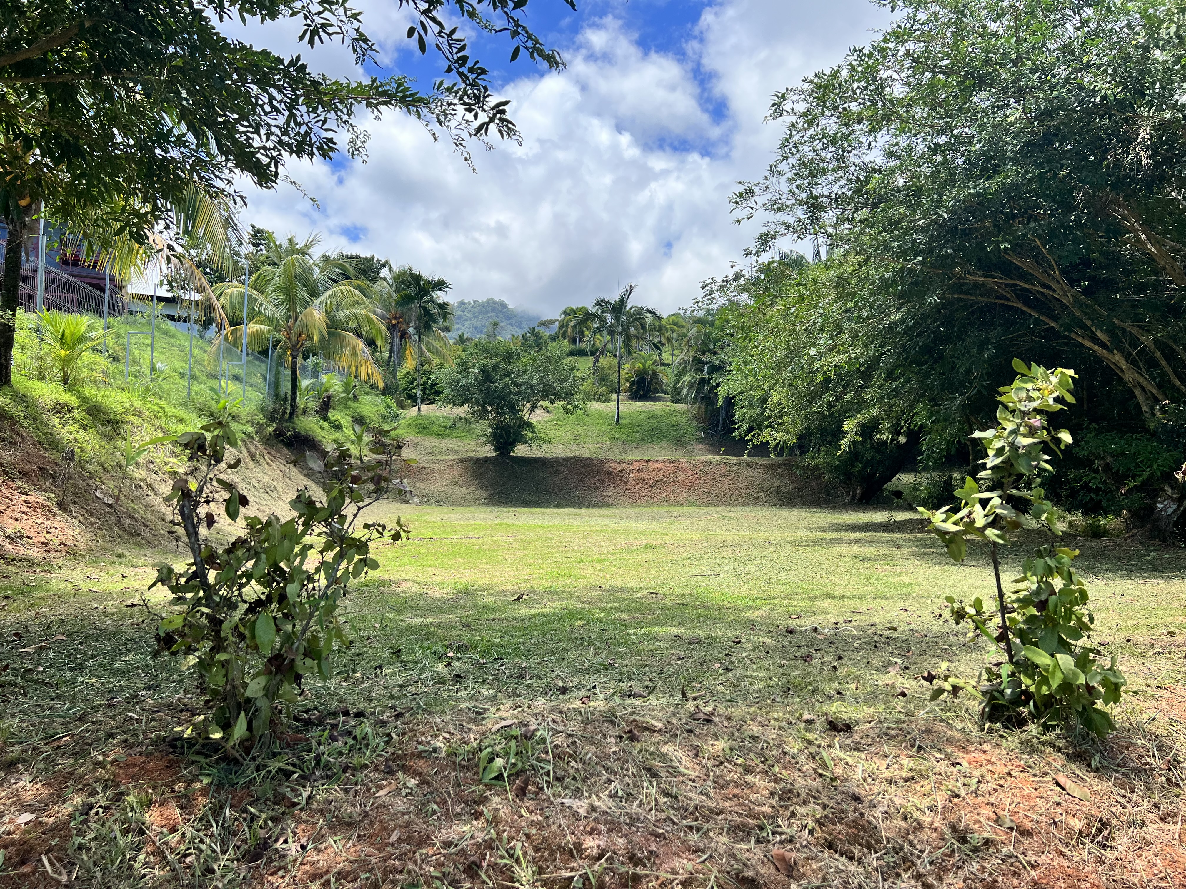 0 bed Land For Sale in Ojochal, Puntarenas - thumb 2