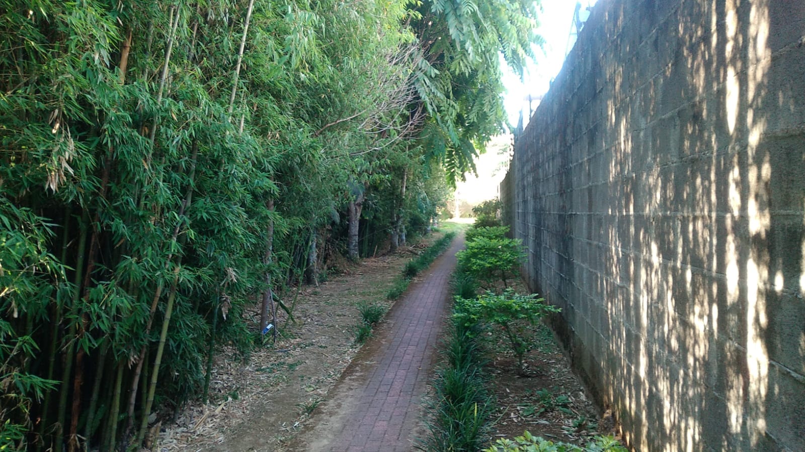 1 bed Condo For Sale in Tres Ríos, Cartago - thumb 8