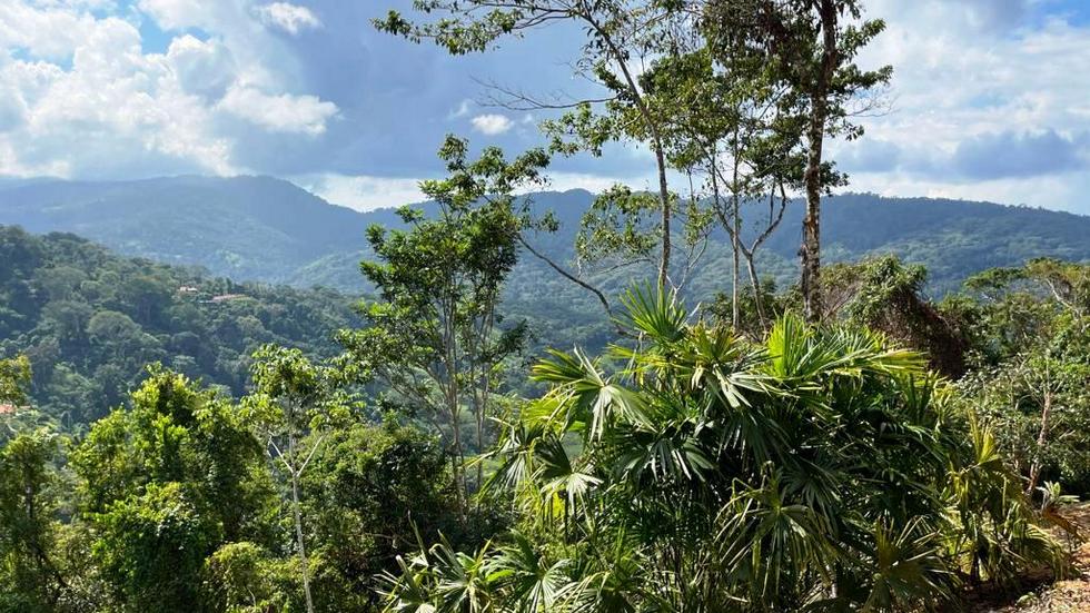 0 bed Land For Sale in Dominical, Puntarenas - thumb 9