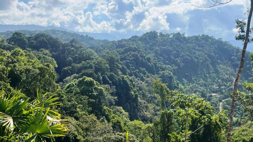 0 bed Land For Sale in Dominical, Puntarenas - thumb 8