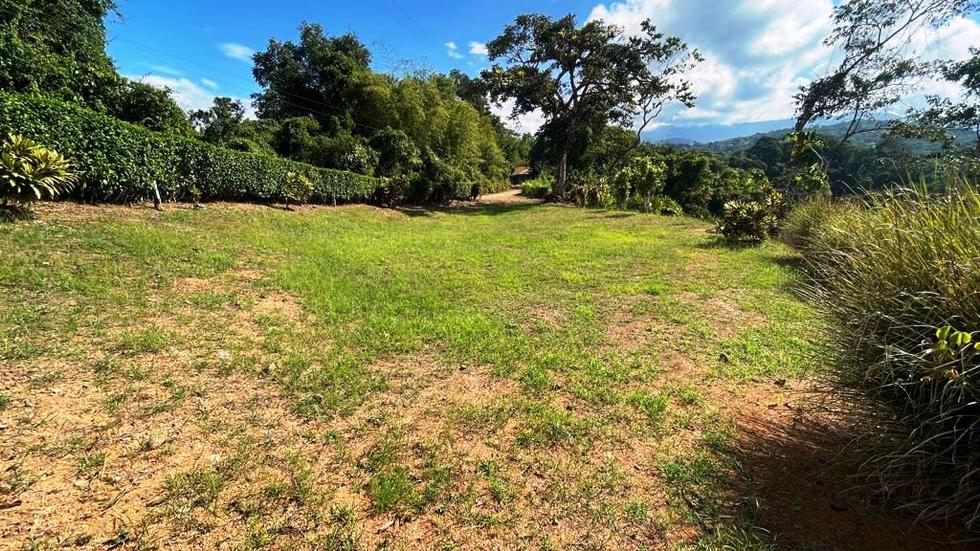 0 bed Land For Sale in Dominical, Puntarenas - thumb 7