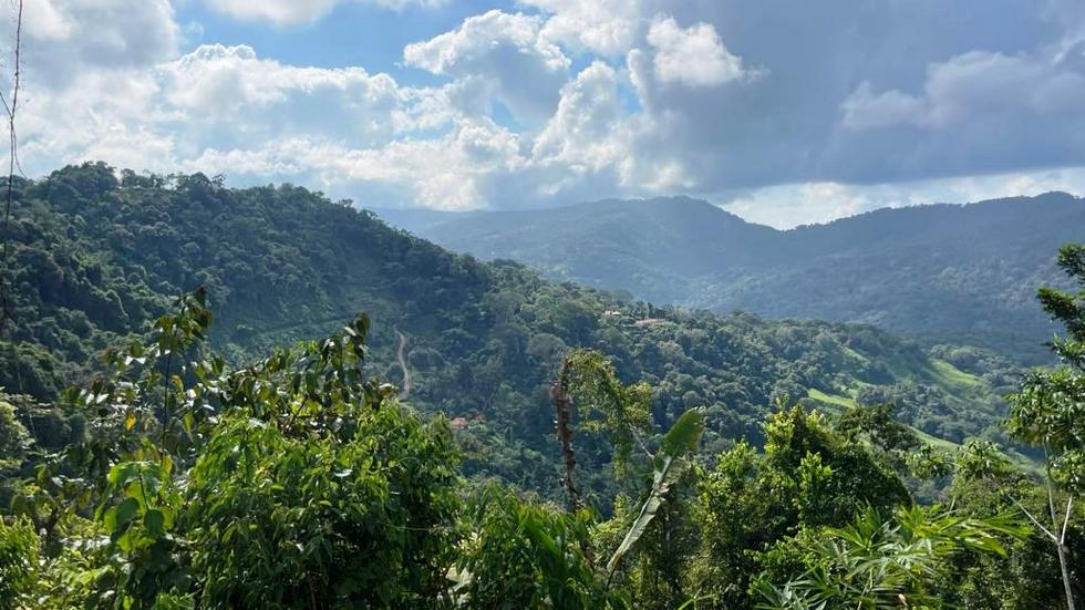 0 bed Land For Sale in Dominical, Puntarenas - thumb 6