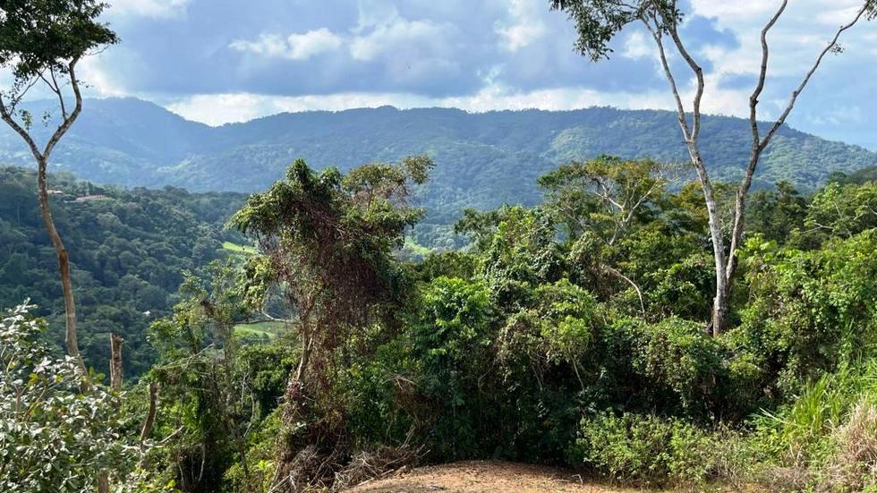 0 bed Land For Sale in Dominical, Puntarenas - thumb 3