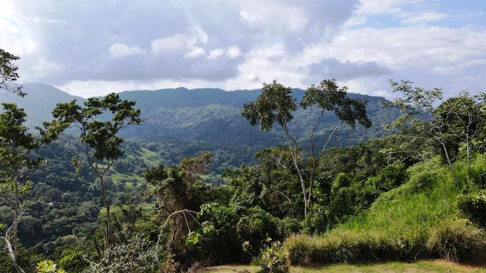 0 bed Land For Sale in Dominical, Puntarenas - thumb 18