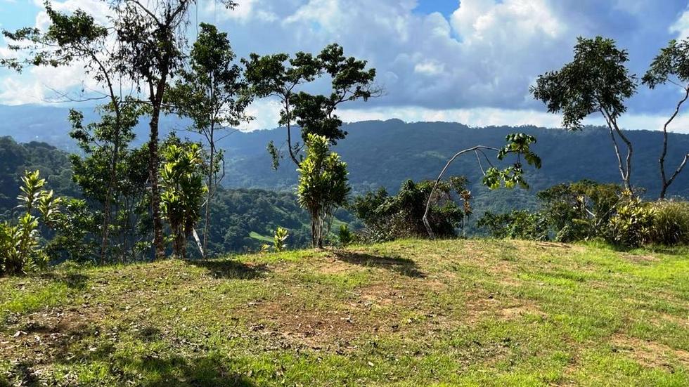 0 bed Land For Sale in Dominical, Puntarenas - thumb 2