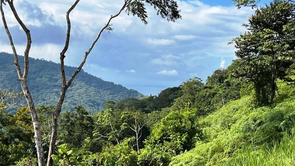 0 bed Land For Sale in Dominical, Puntarenas - thumb 1