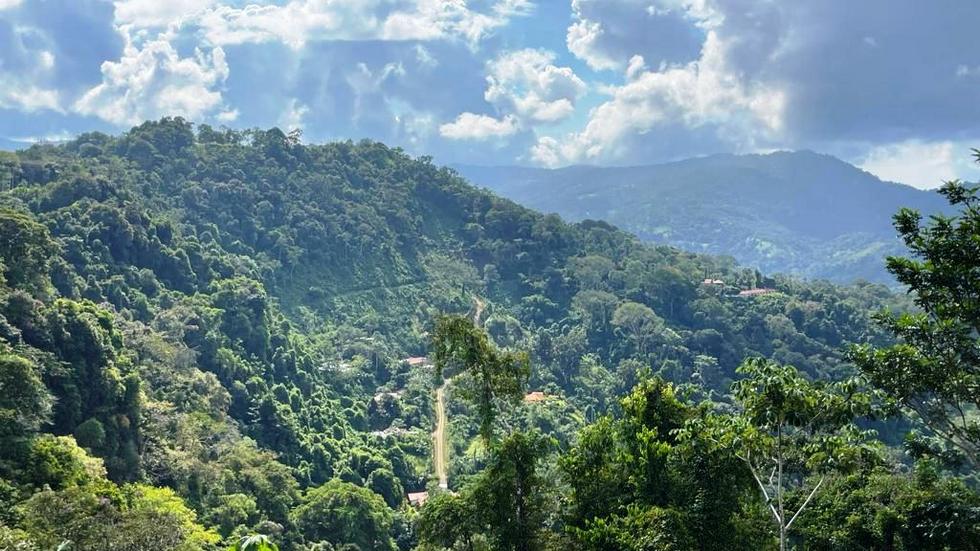 0 bed Land For Sale in Dominical, Puntarenas - thumb 10