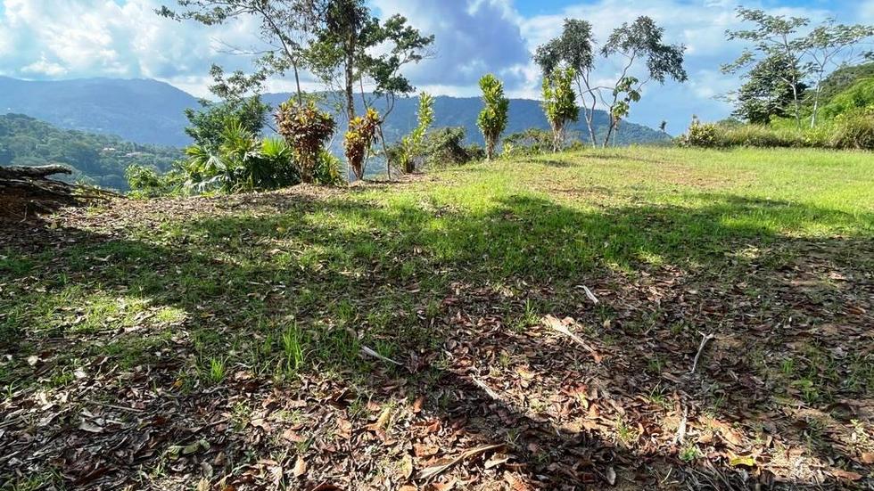 0 bed Land For Sale in Dominical, Puntarenas - thumb 11