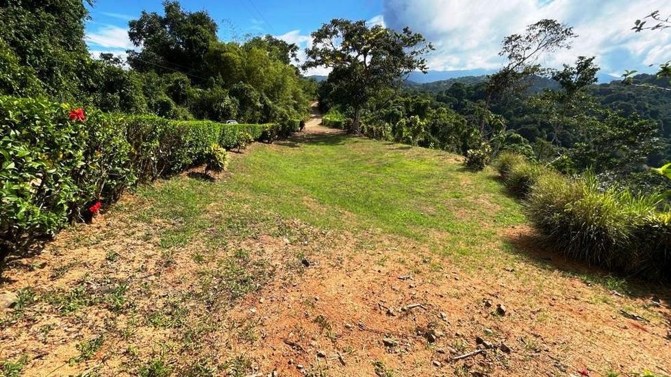 0 bed Land For Sale in Dominical, Puntarenas - thumb 12