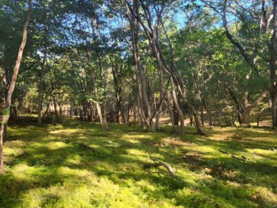 0 bed Land For Sale in Santa Cruz, Guanacaste - thumb 8