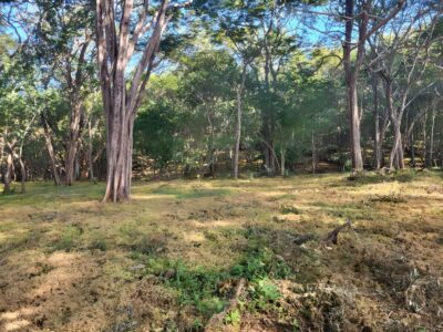 0 bed Land For Sale in Santa Cruz, Guanacaste - thumb 7