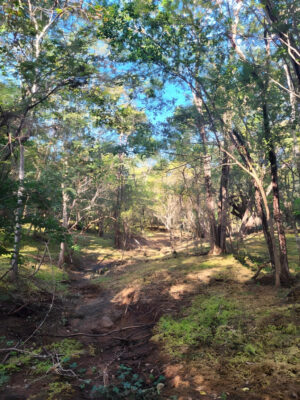 0 bed Land For Sale in Santa Cruz, Guanacaste - thumb 6