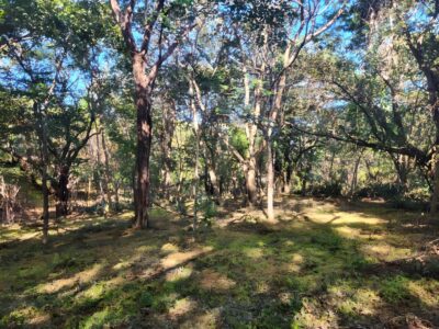 0 bed Land For Sale in Santa Cruz, Guanacaste - thumb 5