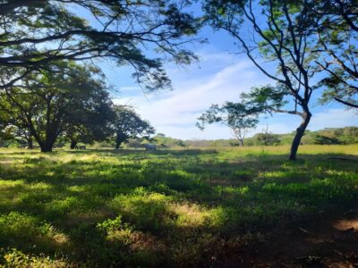 0 bed Land For Sale in Santa Cruz, Guanacaste - thumb 3