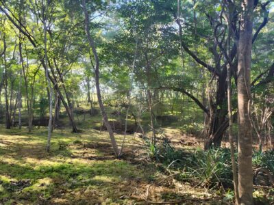 0 bed Land For Sale in Santa Cruz, Guanacaste - thumb 4