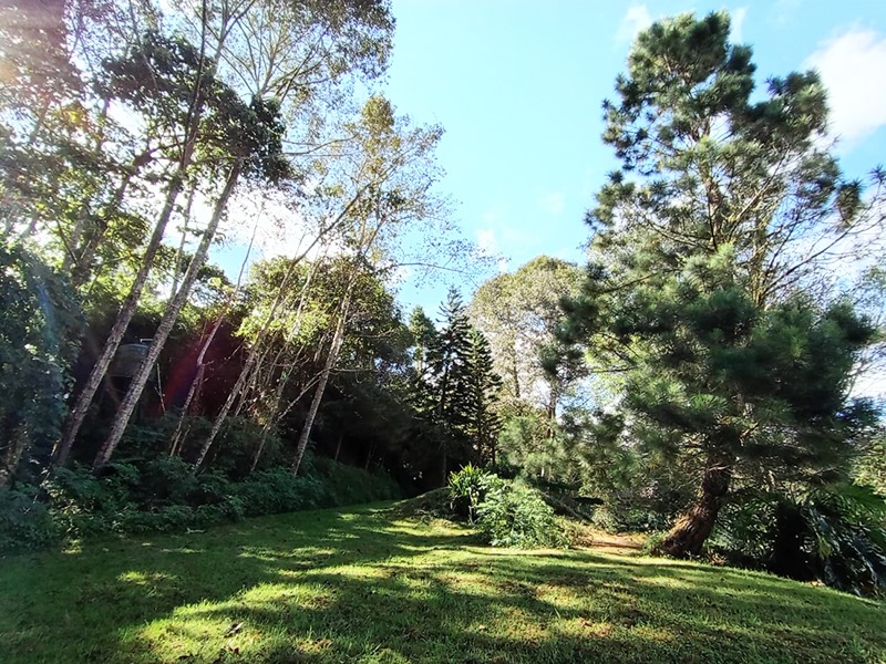 5 bed Single Family Homes For Sale in Coronado, San Jose - thumb 22