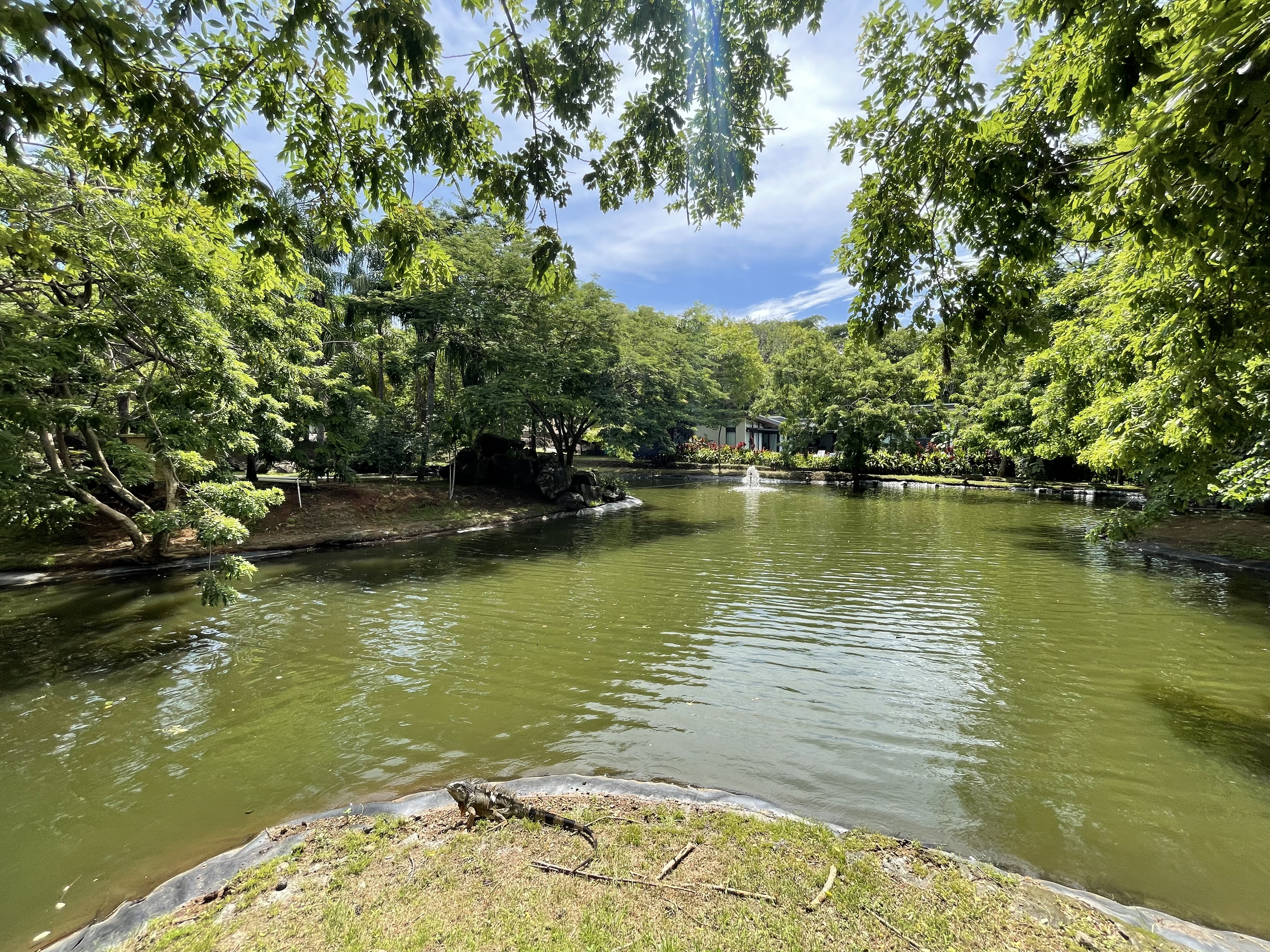 0 bed Land For Sale in Tamarindo, Guanacaste - thumb 11