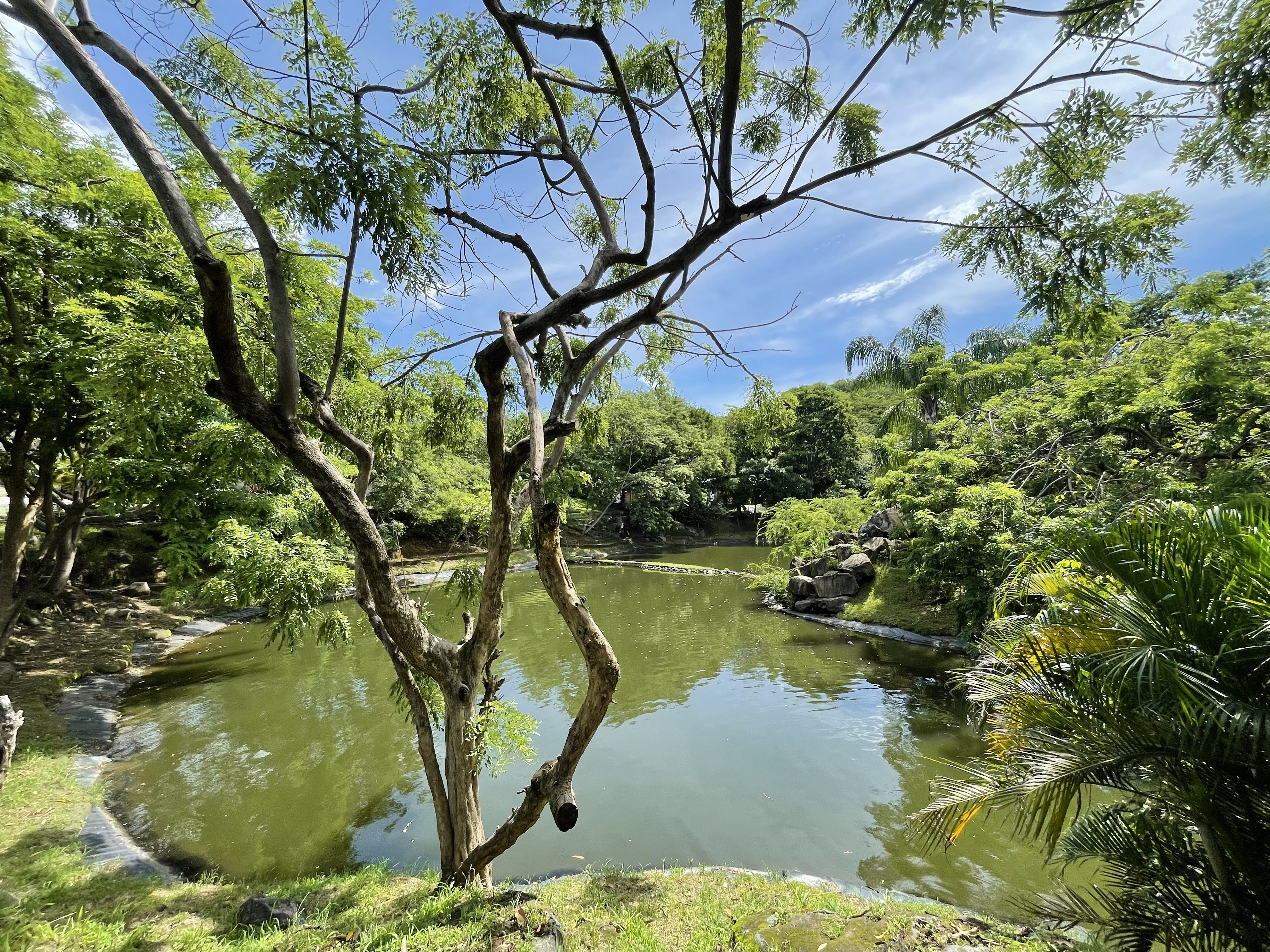 0 bed Land For Sale in Tamarindo, Guanacaste - thumb 12