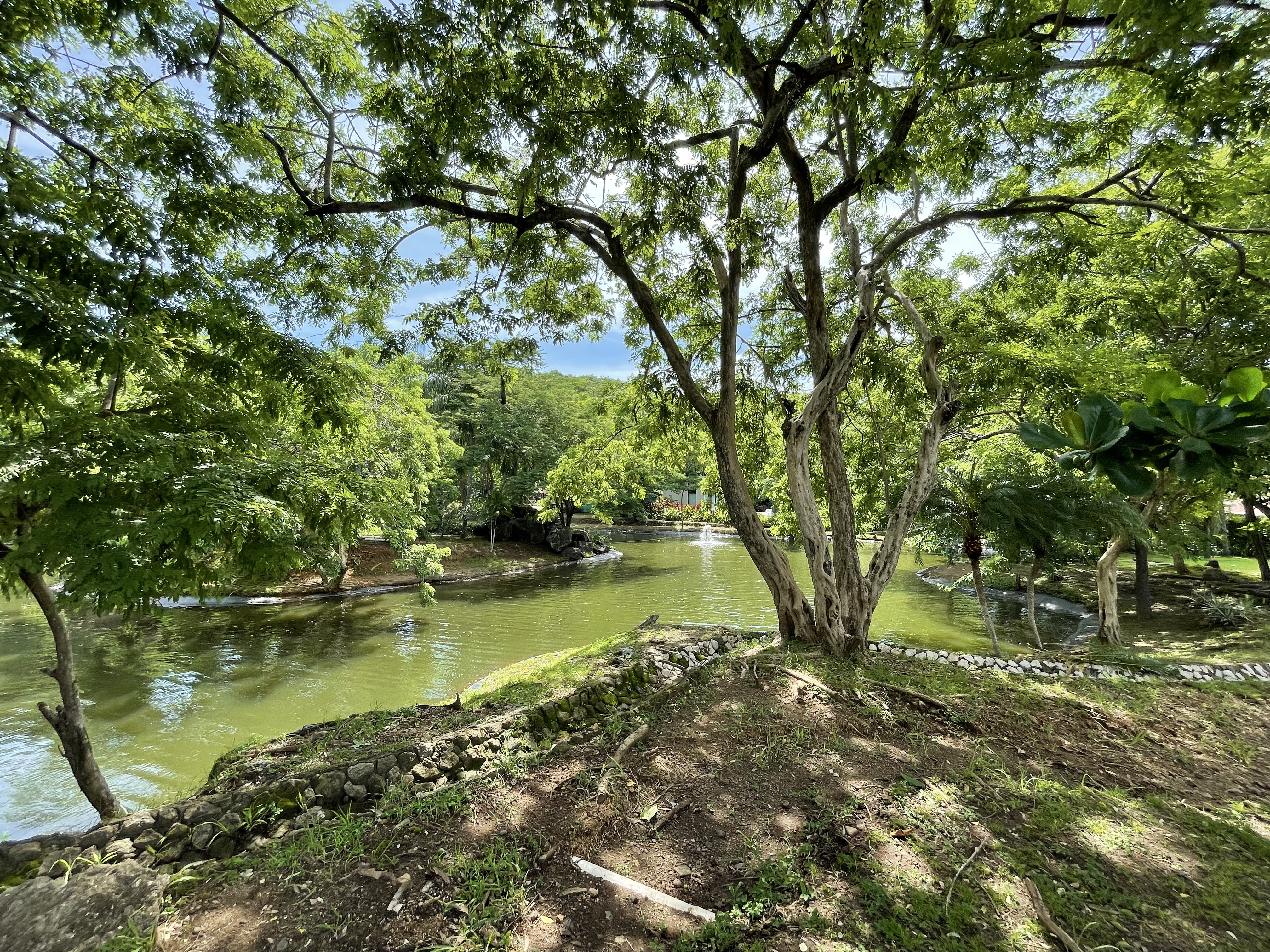 0 bed Land For Sale in Tamarindo, Guanacaste - thumb 13