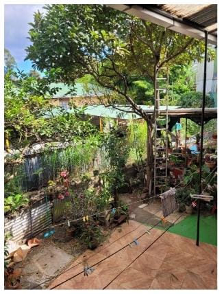 9 bed Single Family Homes For Sale in San Pedro, San Jose - thumb 4