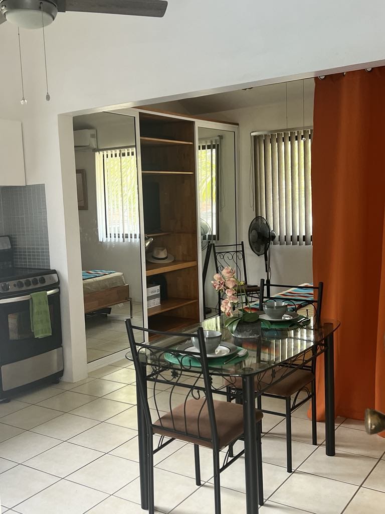 1 bed Condo For Sale in Playas Del Coco, Guanacaste - thumb 4