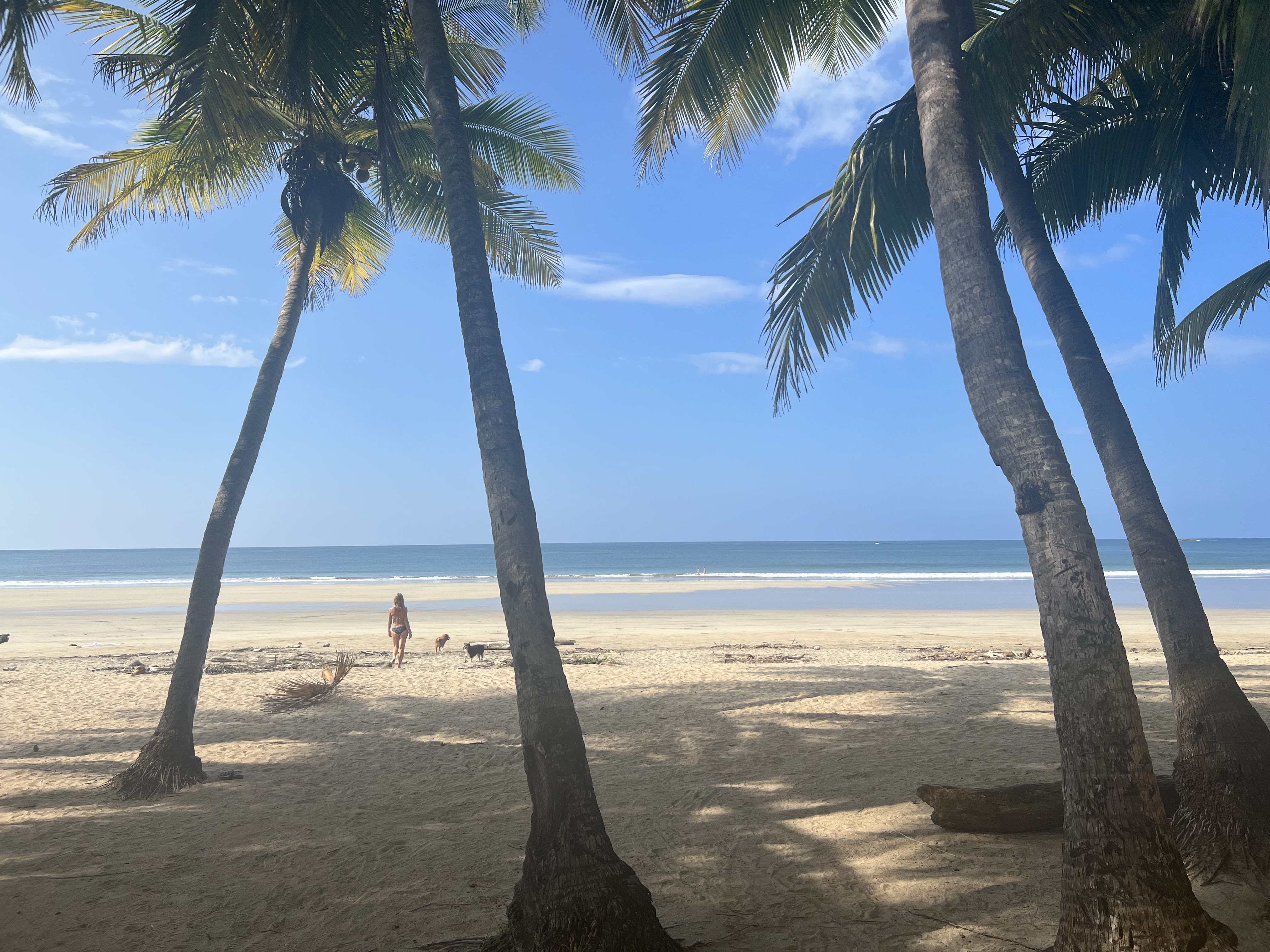 3 bed Single Family Homes For Sale in Playa Grande, Guanacaste - thumb 7