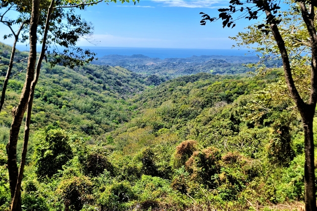0 bed Land For Sale in Samara, Guanacaste - thumb 2