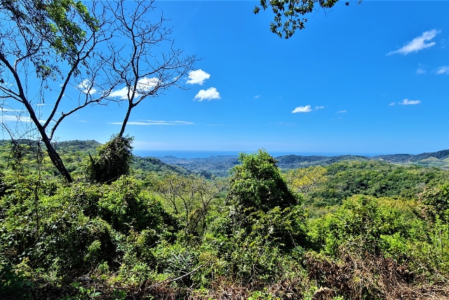 0 bed Land For Sale in Samara, Guanacaste - thumb 1