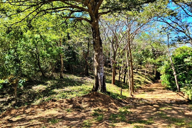 0 bed Land For Sale in Samara, Guanacaste - thumb 5