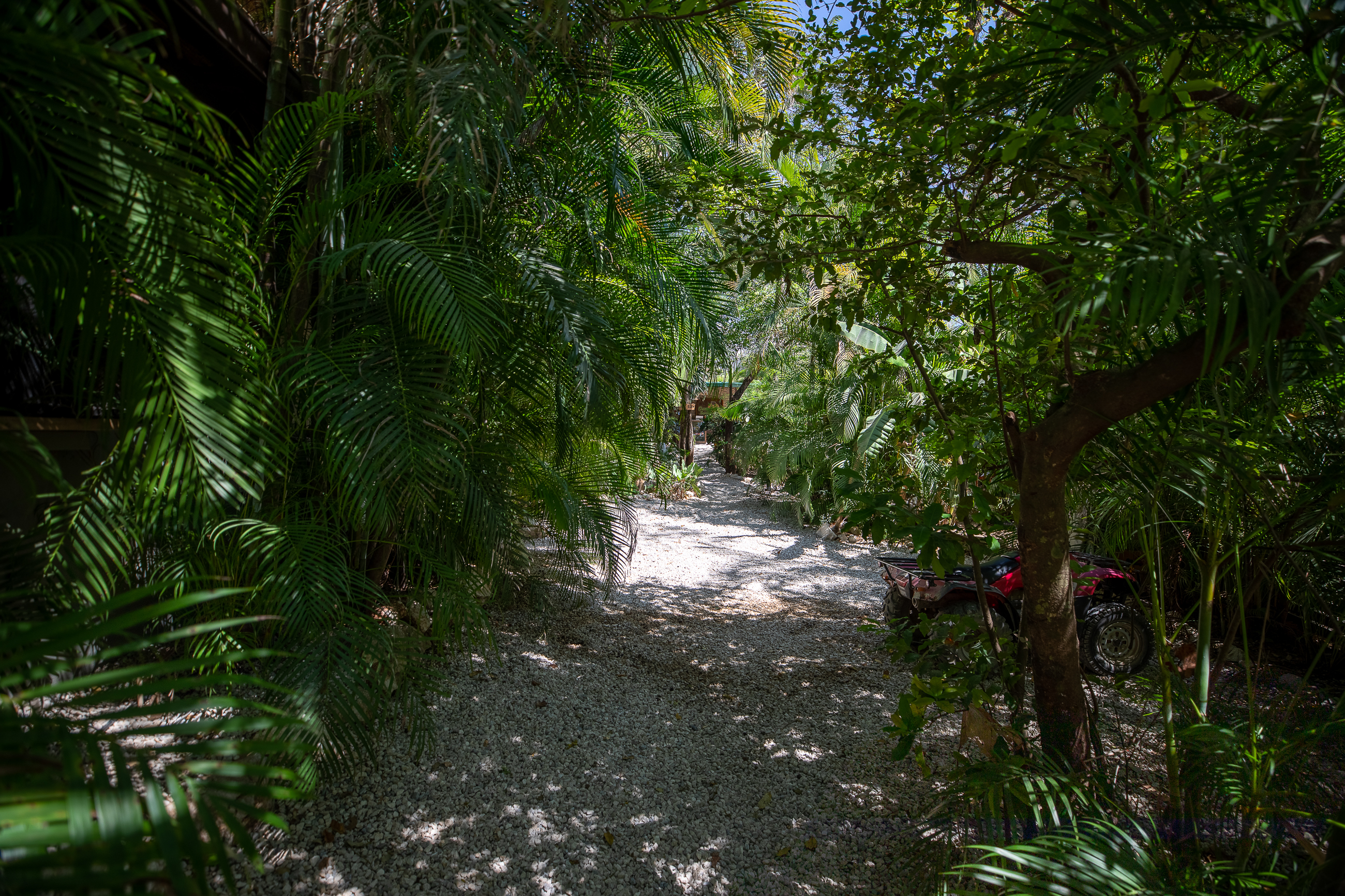 10 bed Hotel / Leisure For Sale in Nosara, Guanacaste - thumb 8