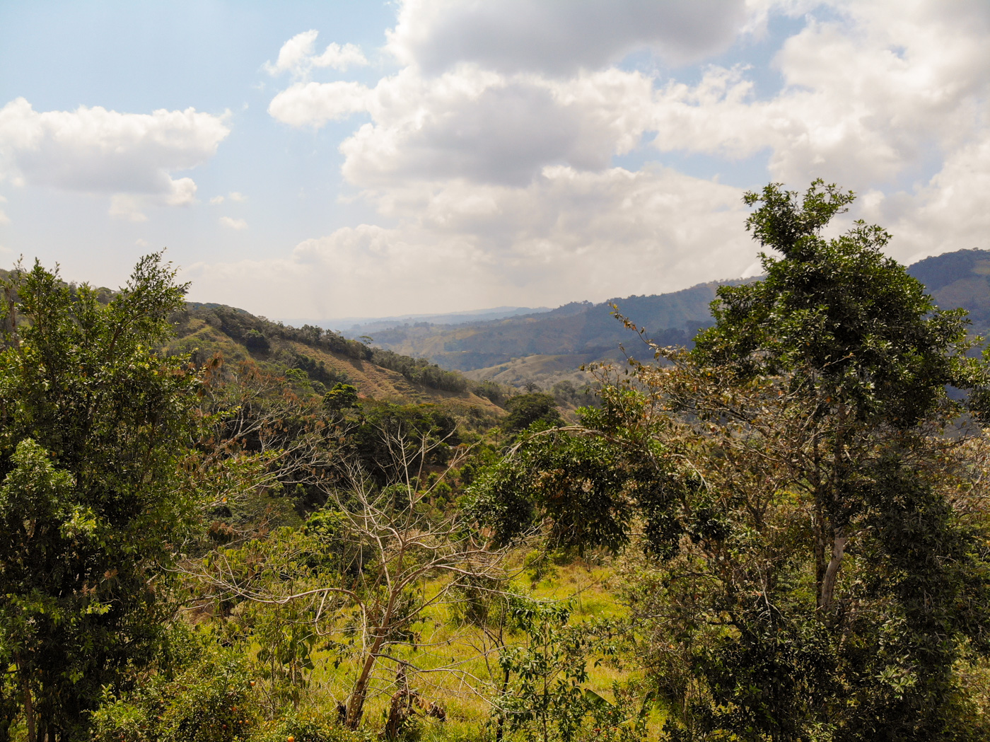 2 bed Single Family Homes For Sale in Perez Zeledon, San Jose - thumb 14