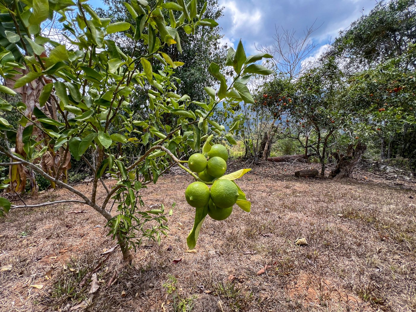 2 bed Single Family Homes For Sale in Perez Zeledon, San Jose - thumb 18