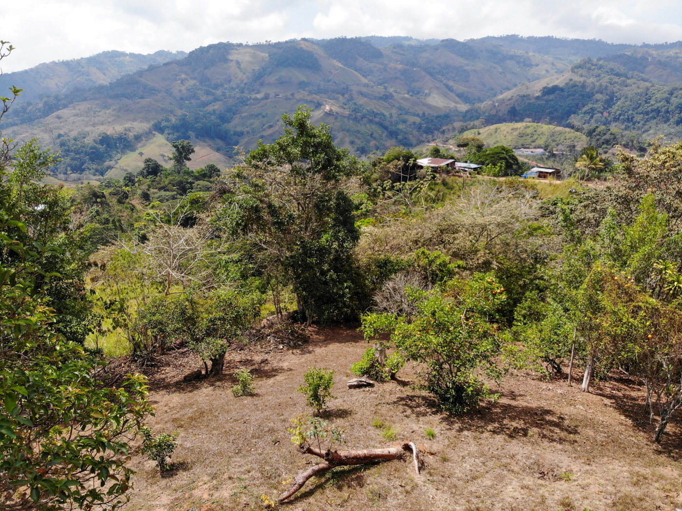 2 bed Single Family Homes For Sale in Perez Zeledon, San Jose - thumb 11