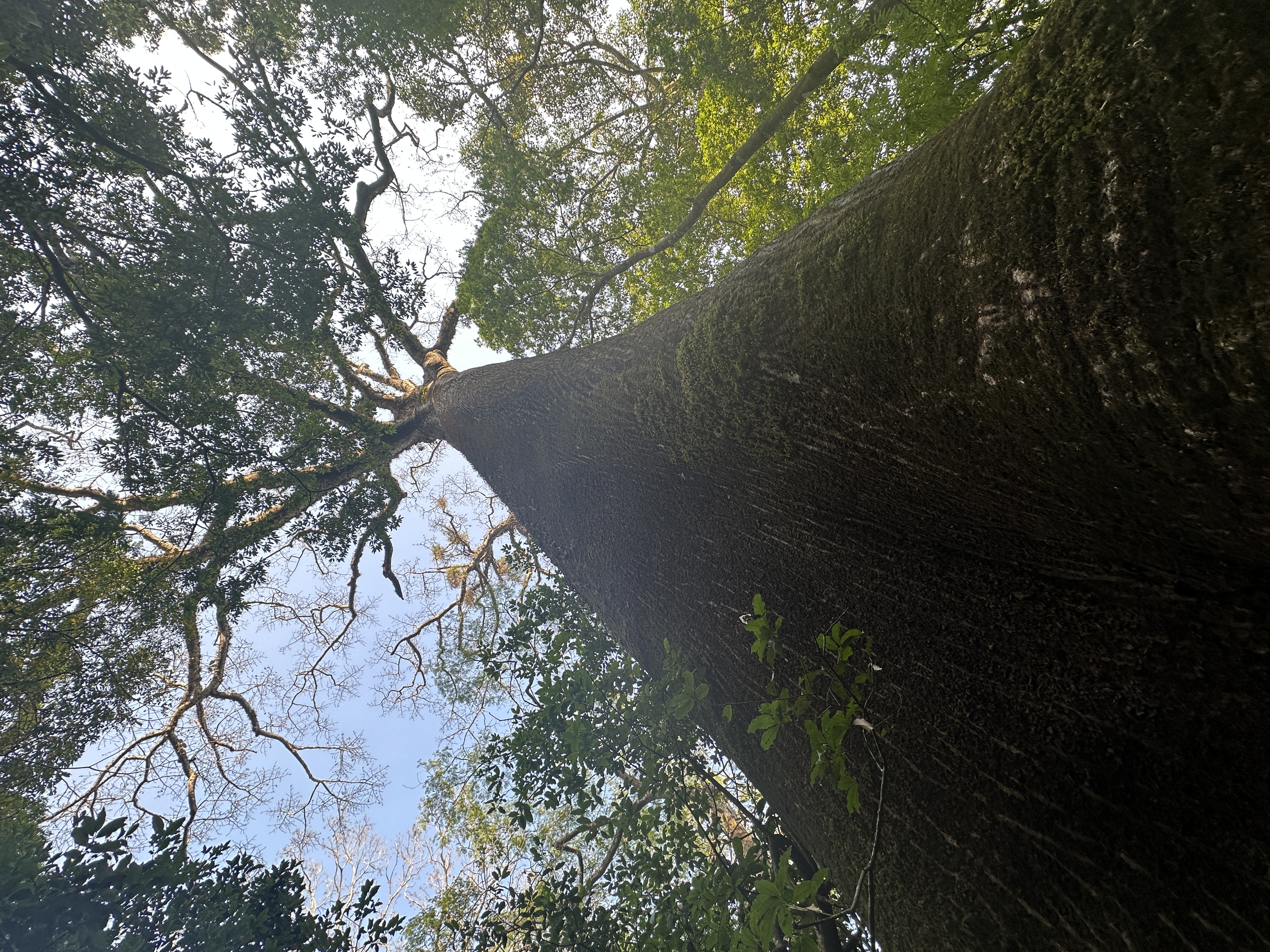 0 bed Land For Sale in Atenas, Alajuela - thumb 3